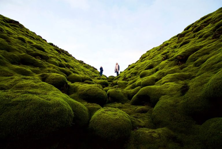 Embracing Nature: The Transformative Power of Outdoor Travel